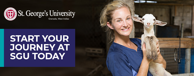 Webinar banner